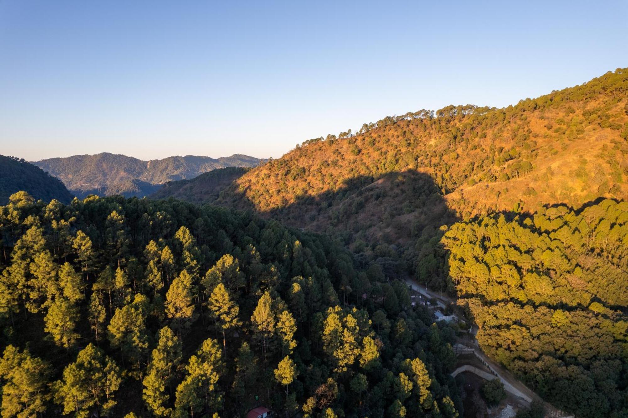 The Canadian Woods Resort Nainital Kültér fotó
